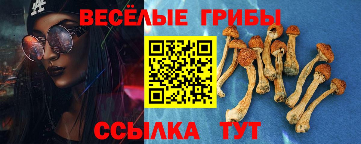 Галлюциногенные грибы ЛСД Строитель